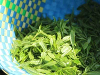 Gensen Tezumi Shincha, Bio, Super-Premium 9 Gensen Tezumi Shincha, Bio, Super-Premium – Bild 7