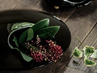 Ikebana-Vase Mammals L, Schwarz 5 Ikebana-Vase Mammals L, Schwarz – Bild 3