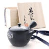 Japanische Teekanne Tokoname Sakura Mit Geschenkbox